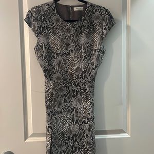Babaton Hamptons Mini Dress